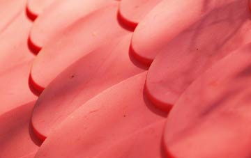 Stanbridgeford plastic roof costs