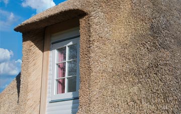 Stanbridgeford thatch roof disadvantages