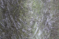 Stanbridgeford fibreglass roof work